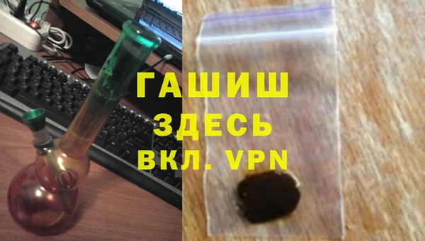 стаф Инта