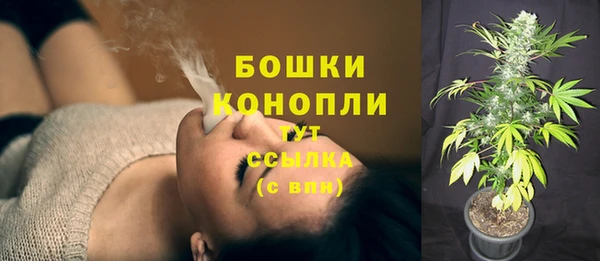 spice Иннополис