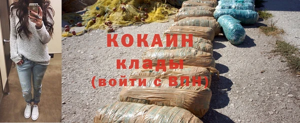 стаф Инта