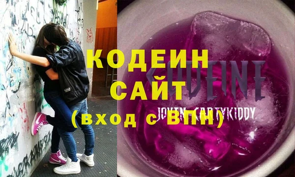 стаф Инта