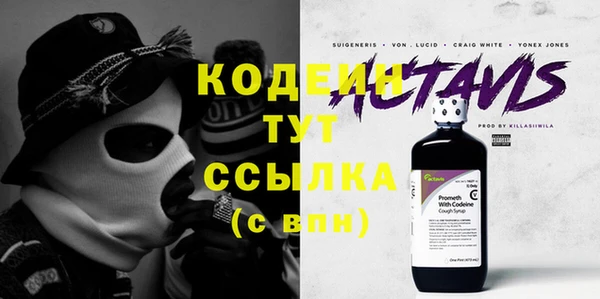 стаф Инта