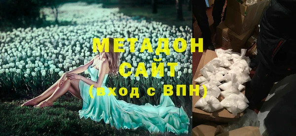 стаф Инта