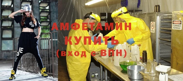 стаф Инта