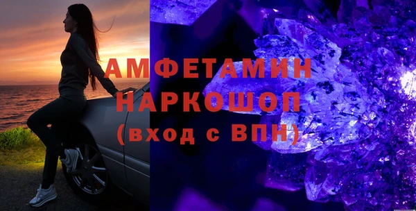 стаф Инта