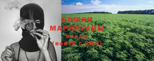 стаф Инта