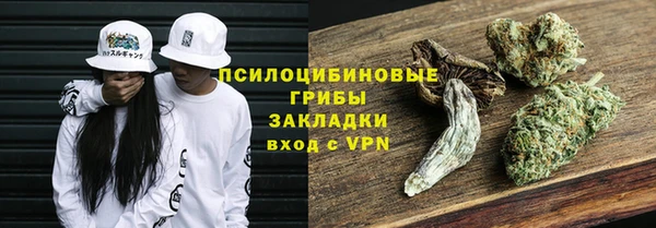 стаф Инта