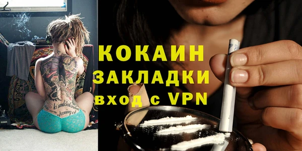 стаф Инта