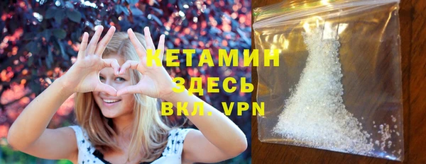 стаф Инта