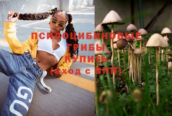 стаф Инта