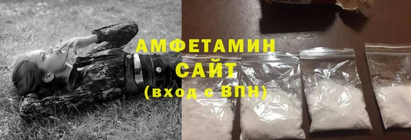 стаф Инта
