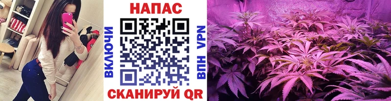 Купить закладки  Белогорск  Шишки марихуана планчик 